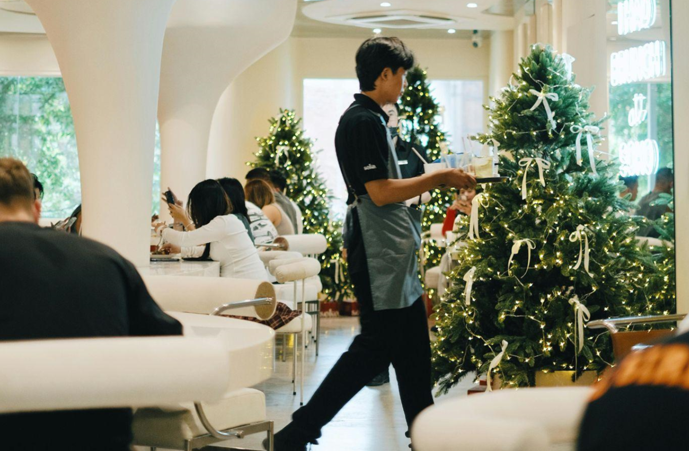 Choosing the Perfect Christmas Tree for Your Home